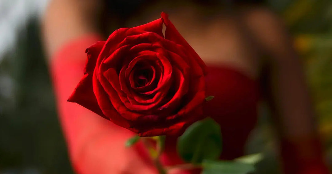 Be Your Own Valentine