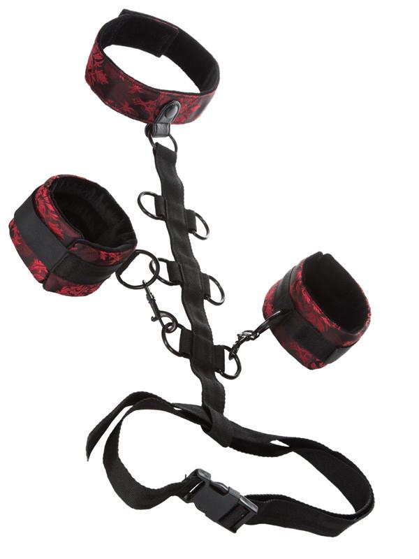 Scandal Collar Body Restraint – JOUJOU