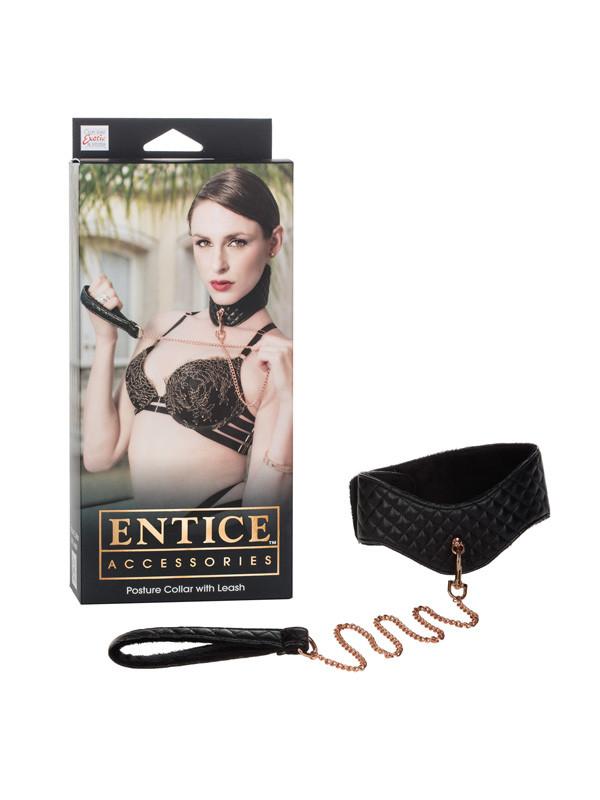 Entice Posture Collar with Leash - joujou.com.au