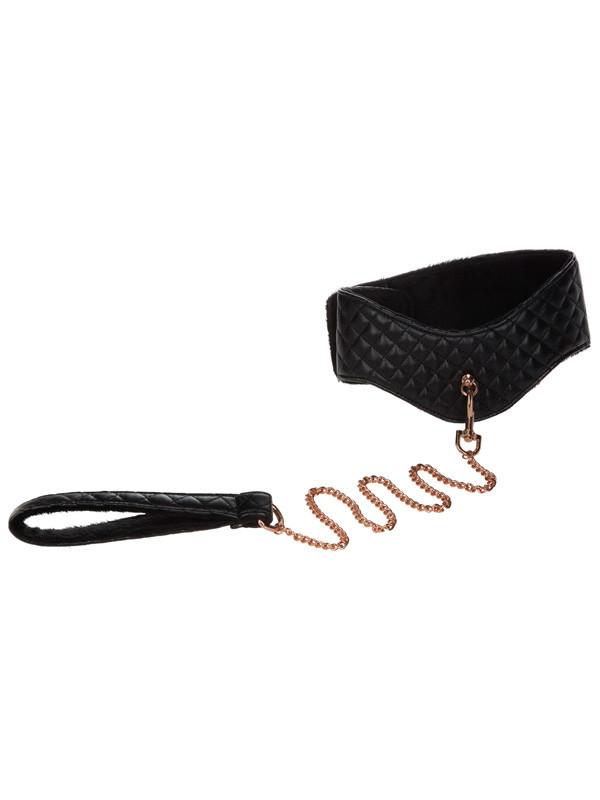 Entice Posture Collar with Leash - joujou.com.au