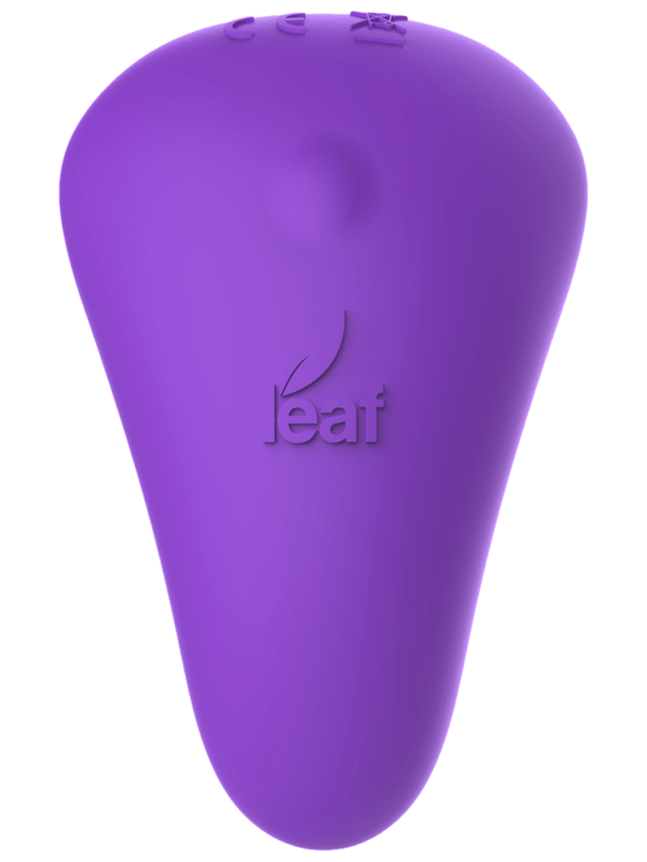 Leaf Plus Spirit Plus with Remote