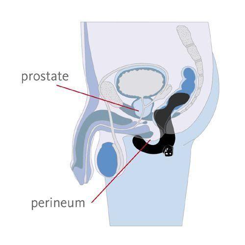 Fun Factory Duke Prostate Massage - joujou.com.au JOUJOU Fun Factory Duke Prostate Massage - joujou.com.au JOUJOU
